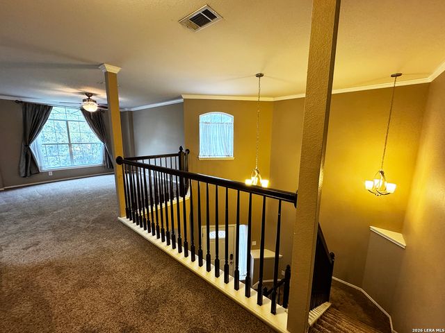 3428 DARTMOUTH CV, Schertz, TX 78154