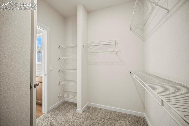 11844 Lost Peak Lane, Colorado Springs, CO 80925