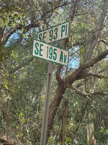 9345 SE 195TH AVENUE, Ocklawaha, FL 32179