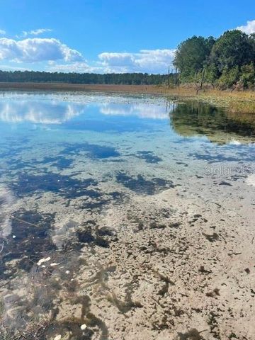 9345 SE 195TH AVENUE, Ocklawaha, FL 32179