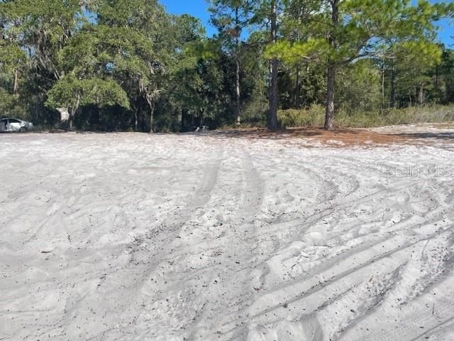 9345 SE 195TH AVENUE, Ocklawaha, FL 32179