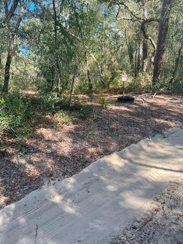 9345 SE 195TH AVENUE, Ocklawaha, FL 32179