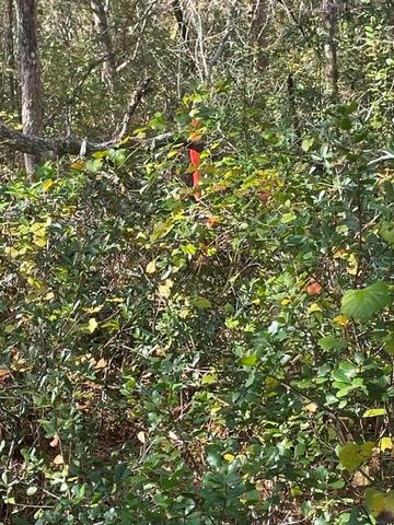 9345 SE 195TH AVENUE, Ocklawaha, FL 32179