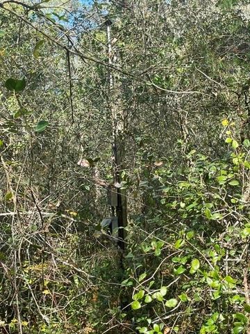 9345 SE 195TH AVENUE, Ocklawaha, FL 32179