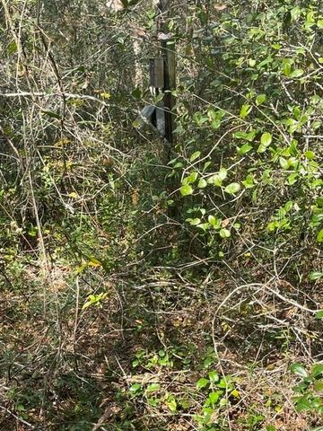 9345 SE 195TH AVENUE, Ocklawaha, FL 32179