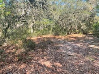 9345 SE 195TH AVENUE, Ocklawaha, FL 32179