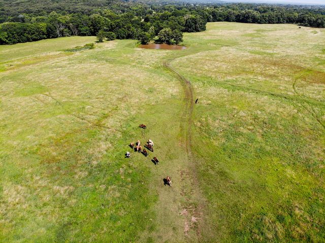14806 Prairie Grove Lake Road, Prairie Grove, AR 72753