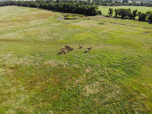 14806 Prairie Grove Lake Road, Prairie Grove, AR 72753
