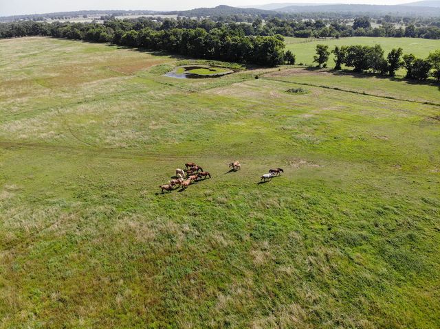 14806 Prairie Grove Lake Road, Prairie Grove, AR 72753