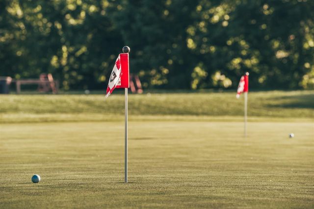 1717 Boardwalk Pl, Gallatin, TN 37066