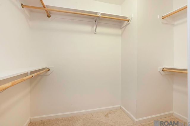 13166 Ribbonwood Dr, Denham Springs, LA 70726