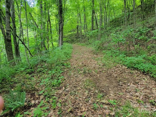 75 Rimrock Ridge I, Clyde, NC 28721
