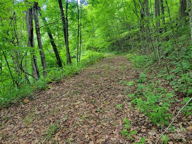 75 Rimrock Ridge I, Clyde, NC 28721