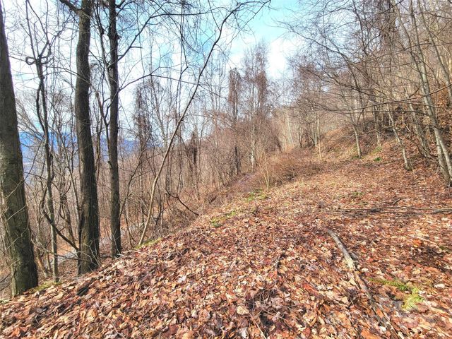 75 Rimrock Ridge I, Clyde, NC 28721