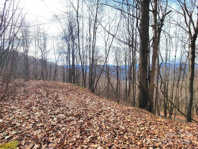 75 Rimrock Ridge I, Clyde, NC 28721