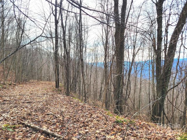 75 Rimrock Ridge I, Clyde, NC 28721