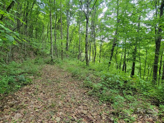 75 Rimrock Ridge I, Clyde, NC 28721