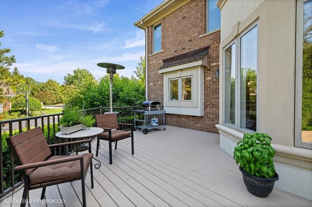 21558 W Goldfinch Court, Kildeer, IL 60047
