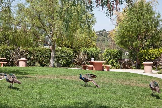 6126 Paseo Monona, Carlsbad, CA 92009