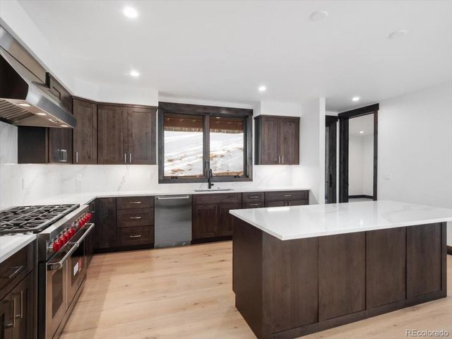 526 N Fuller Placer Road, Breckenridge, CO 80424