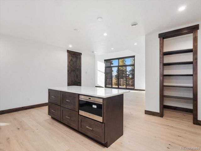 526 N Fuller Placer Road, Breckenridge, CO 80424