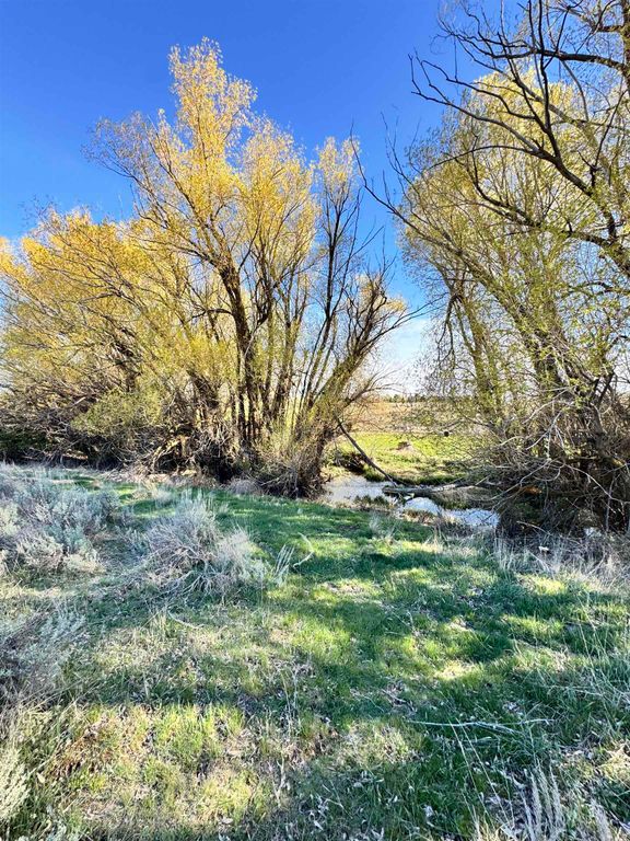 XX W Ross St, Davenport, WA 99122 photo 6