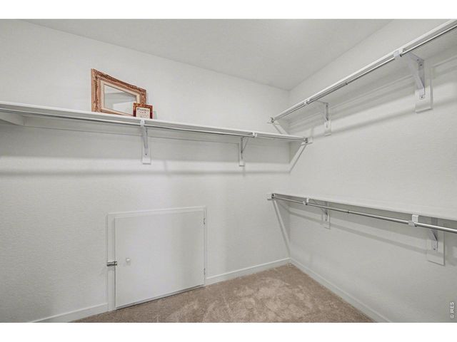 5548 Runge Ct, Timnath, CO 80547