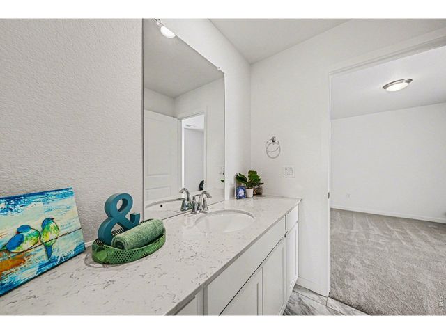 5548 Runge Ct, Timnath, CO 80547