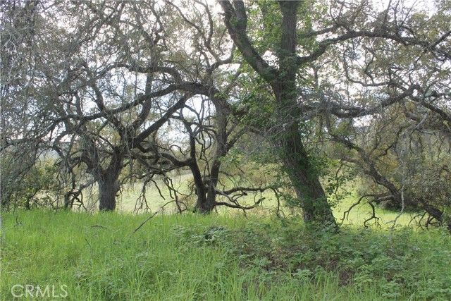 0 Tenaja Road, Murrieta, CA 92562