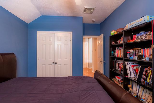 10 Delphinium Place, The Woodlands, TX 77382