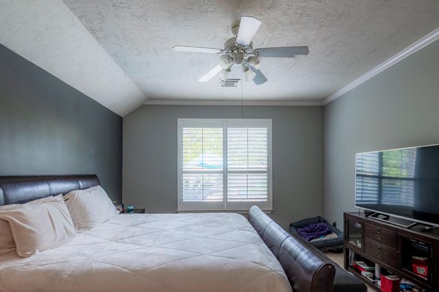 10 Delphinium Place, The Woodlands, TX 77382