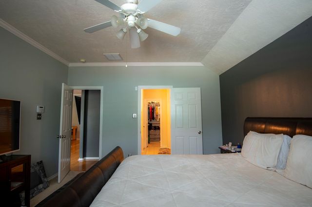 10 Delphinium Place, The Woodlands, TX 77382