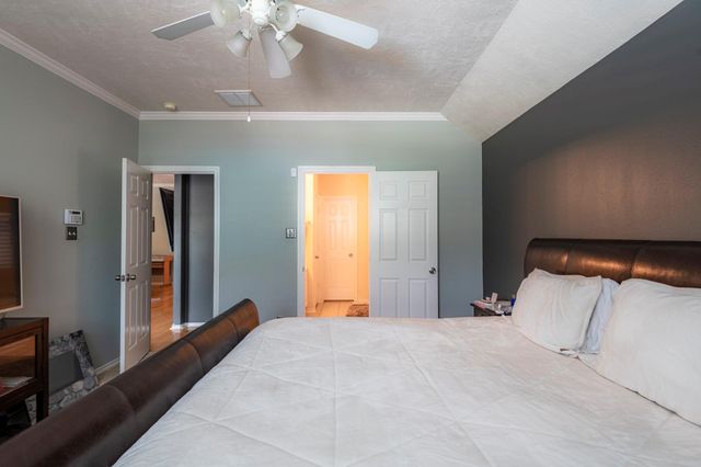 10 Delphinium Place, The Woodlands, TX 77382
