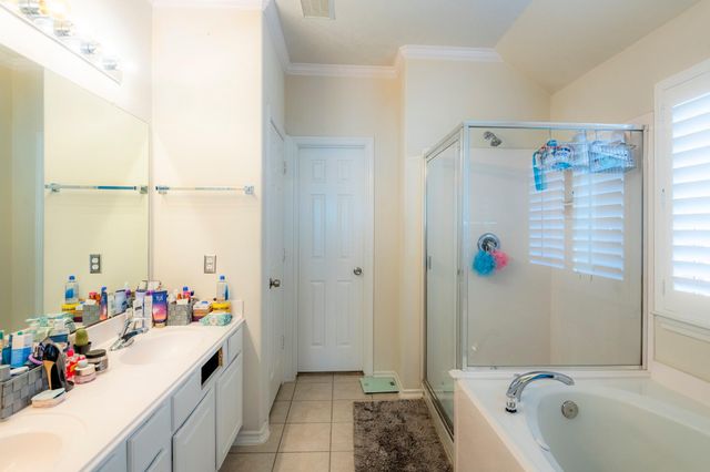 10 Delphinium Place, The Woodlands, TX 77382