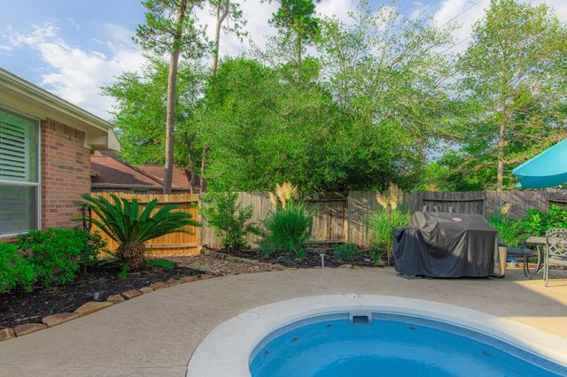 10 Delphinium Place, The Woodlands, TX 77382