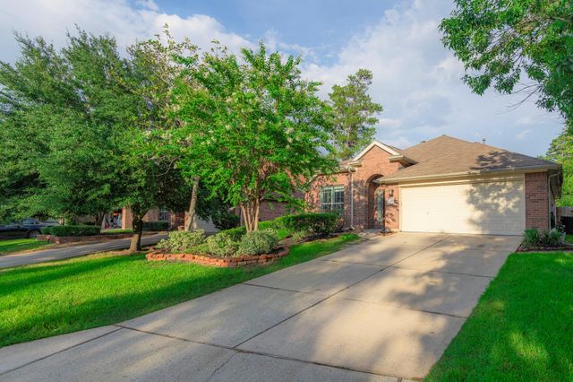10 Delphinium Place, The Woodlands, TX 77382