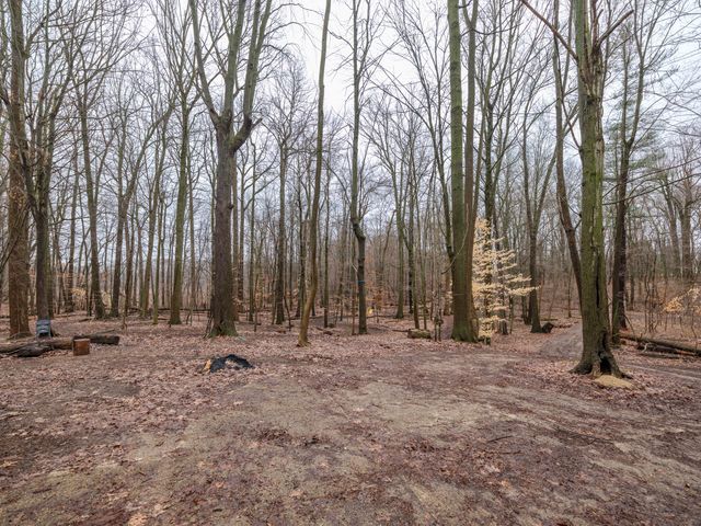 22431 Paulson Road, Gobles, MI 49055