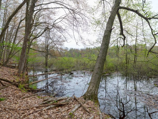 22431 Paulson Road, Gobles, MI 49055