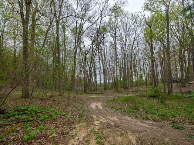 22431 Paulson Road, Gobles, MI 49055