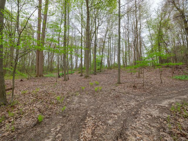 22431 Paulson Road, Gobles, MI 49055