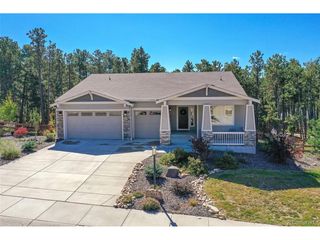 933 Tree Bark Ter, Monument, CO 80132
