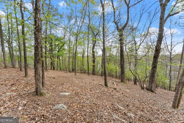 2524 Thompson Ovlk, Gainesville, GA 30506