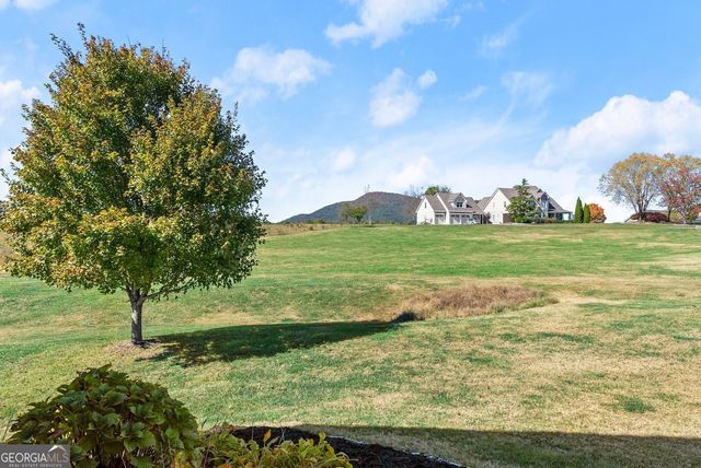 360 Clear View Court, Clermont, GA 30527