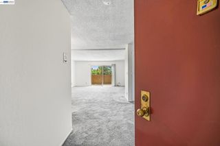 1321 Webster St D319, Alameda, CA 94501