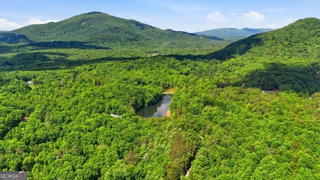 225 Hamik Hollow Road, Cleveland, GA 30528