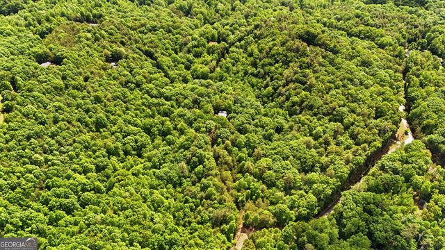 225 Hamik Hollow Road, Cleveland, GA 30528