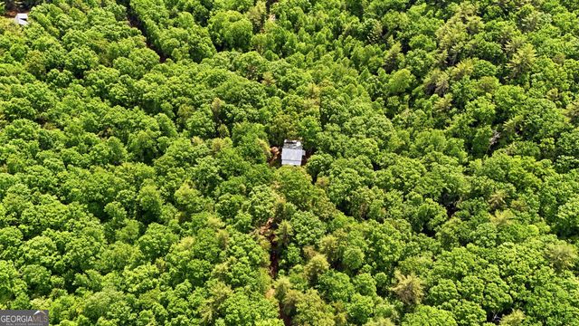 225 Hamik Hollow Road, Cleveland, GA 30528