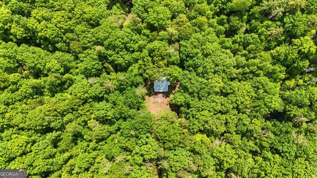 225 Hamik Hollow Road, Cleveland, GA 30528