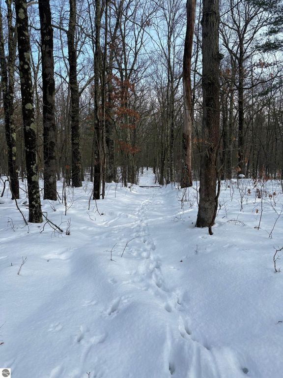 Image 35 of property listing at 19248 Caberfae Highway, Wellston, MI 49689