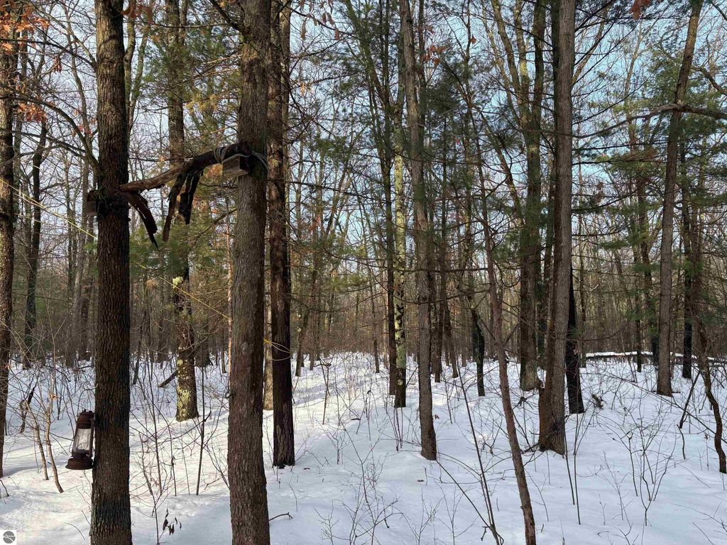 Image 36 of property listing at 19248 Caberfae Highway, Wellston, MI 49689